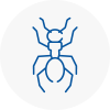 Ant Removals In Stoke