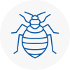 Bed Bug Extermination In Stoke