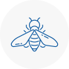 Bee Nest Removal Stoke