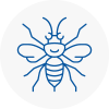 Stoke Hornet Nest Removals