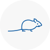 Mice Exterminators In Stoke