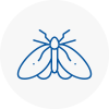 Moth Control Specialists In Stoke