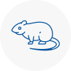 Rat Control Stoke
