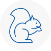 Stoke Rodent Removals